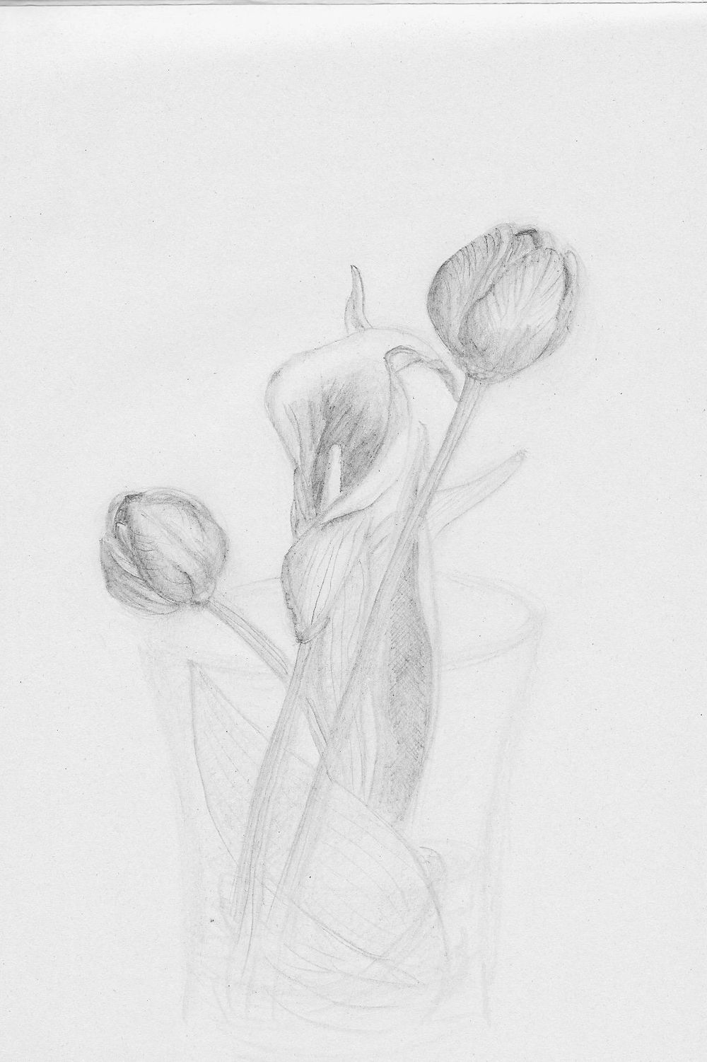 Basic Drawing Practice - image 2 - student project