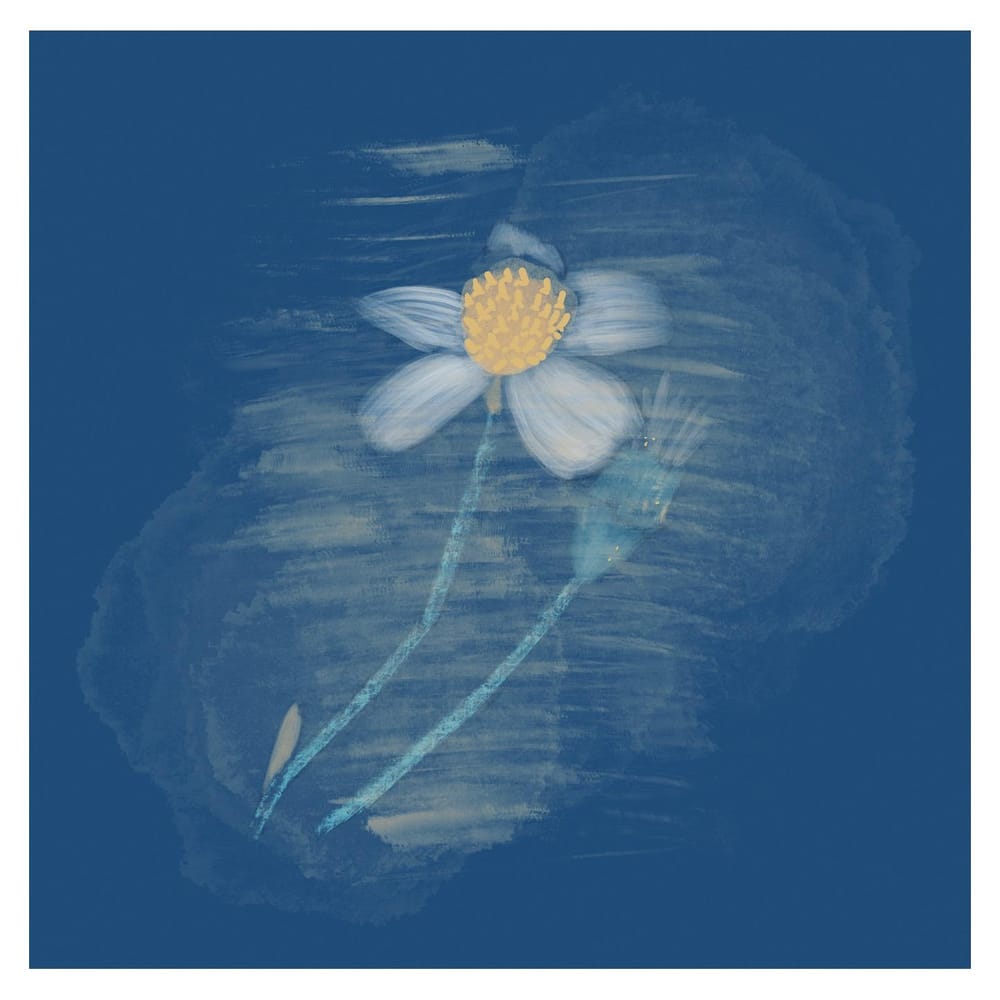 Colours - image 2 - student project