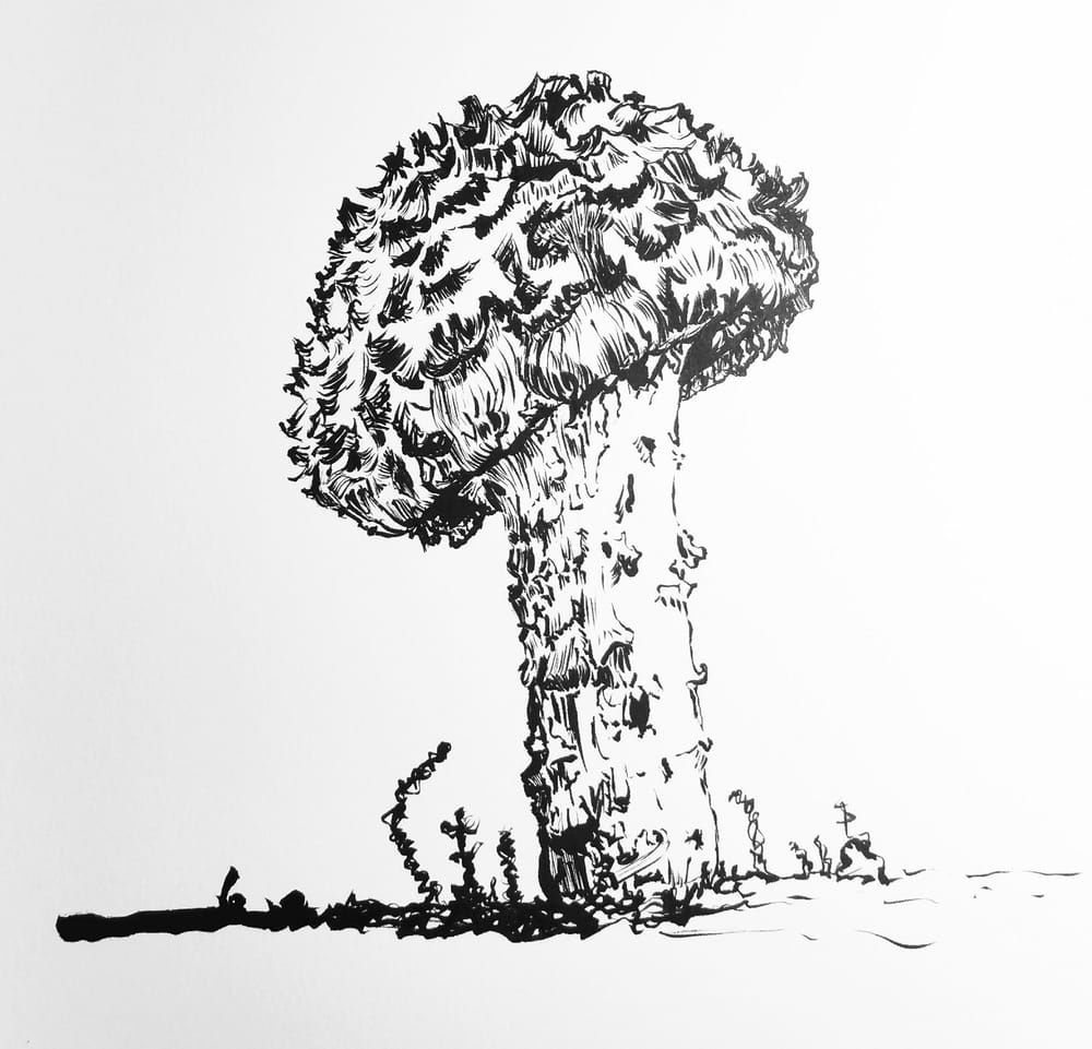 Shock-headed Boletus Mushroom - image 1 - student project