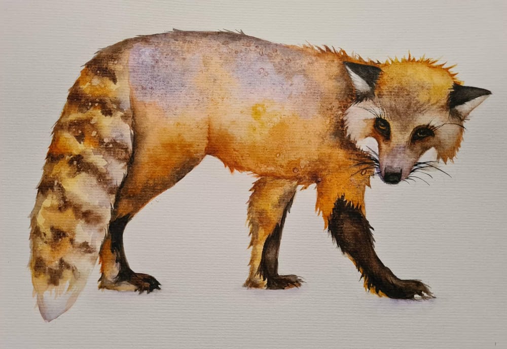 FANTASTIC MS FOX - image 1 - student project