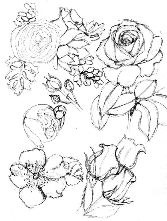 A Single Rose - image 2 - student project