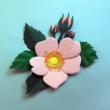 A Single Rose - image 7 - student project