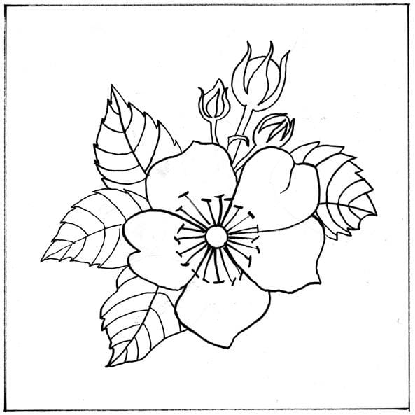 A Single Rose - image 4 - student project