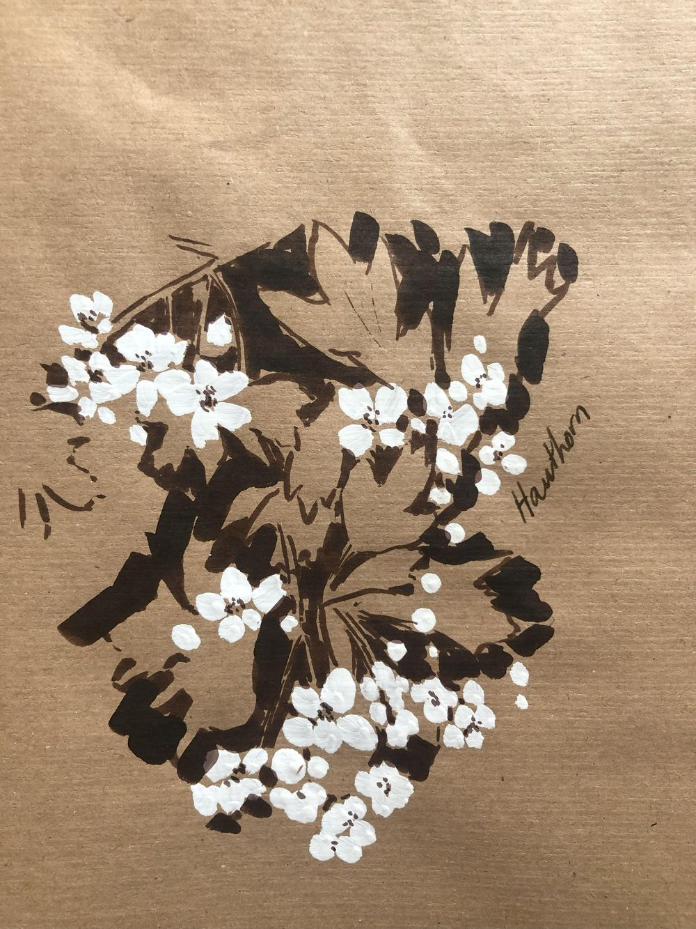Flower studies on toned paper - image 2 - student project