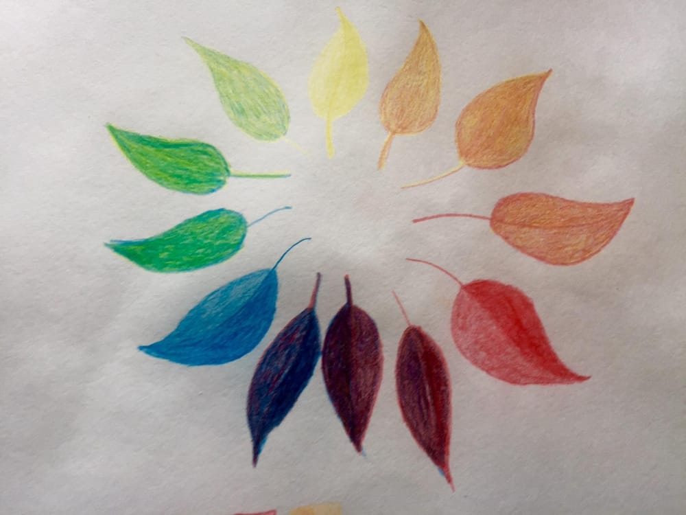 4+1 exercises - image 3 - student project