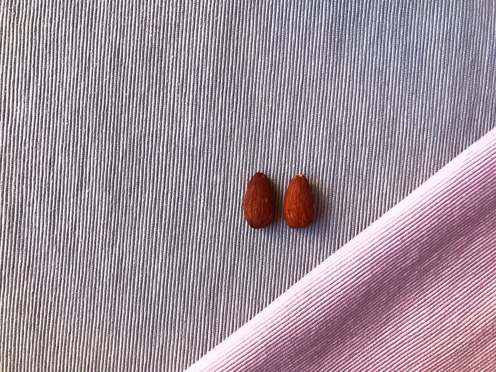 Everything starts with almond - image 3 - student project