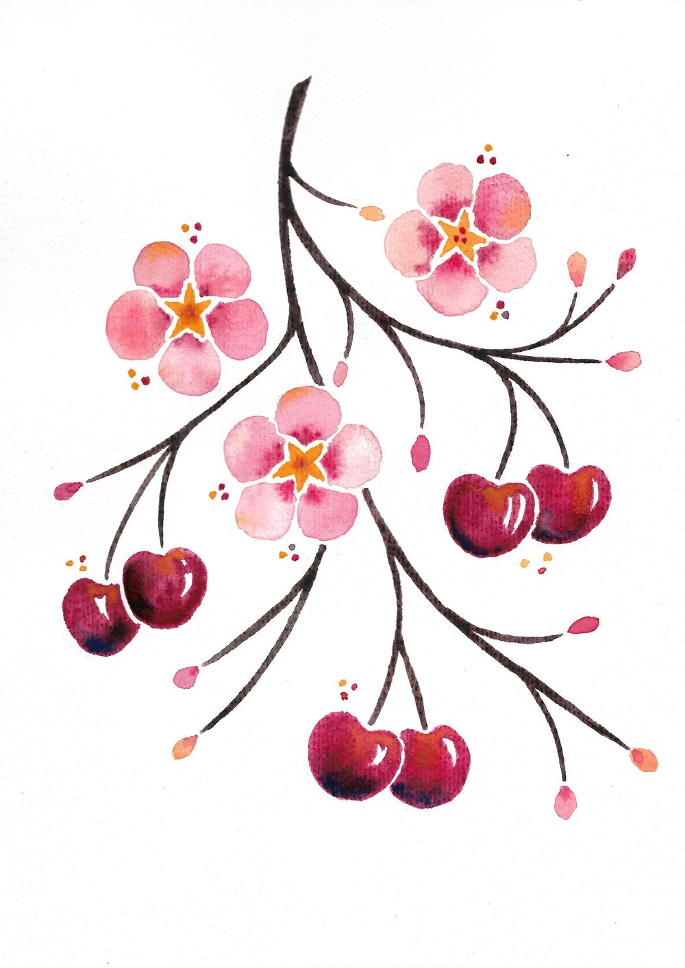 "Fruits & Florals in Watercolor" with Cat Coquillette - image 2 - student project