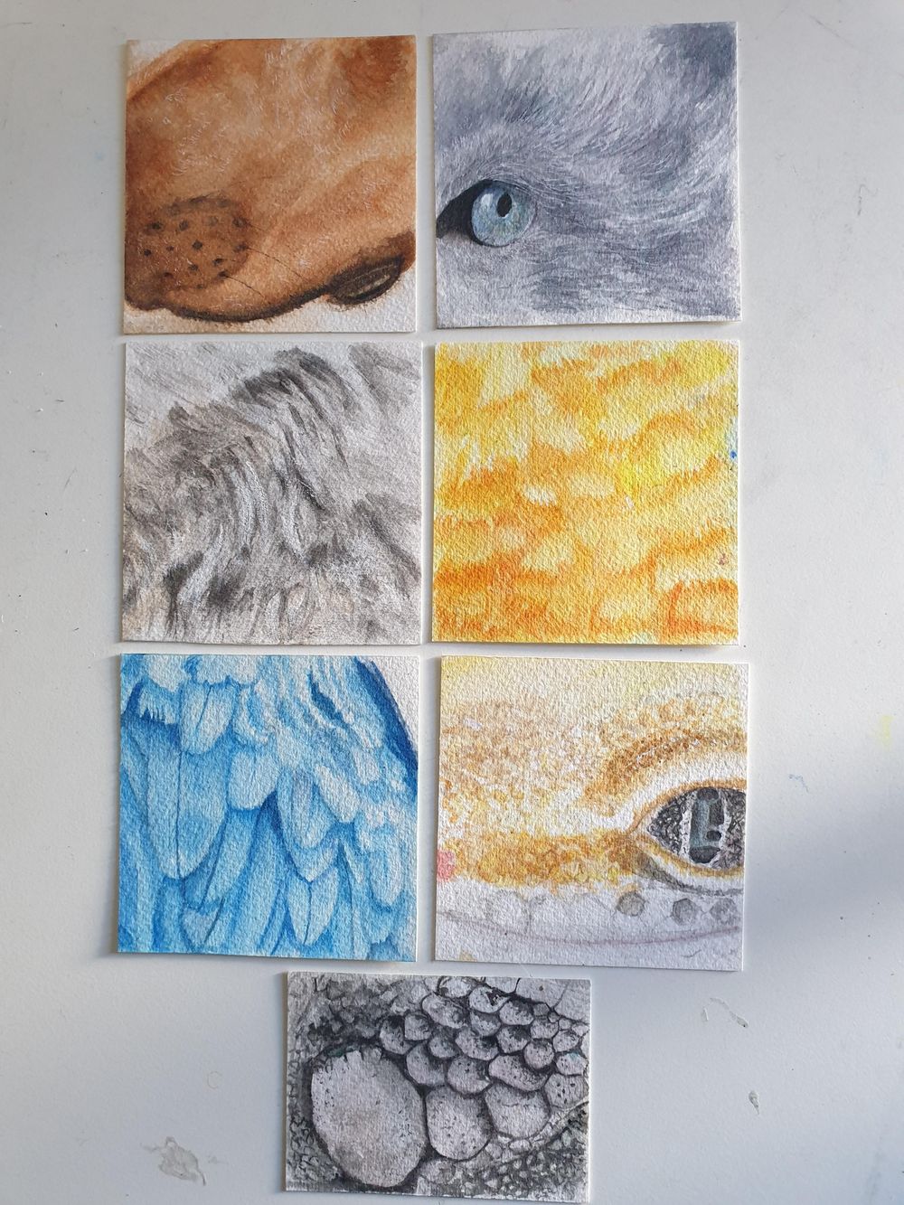 Animals - image 1 - student project