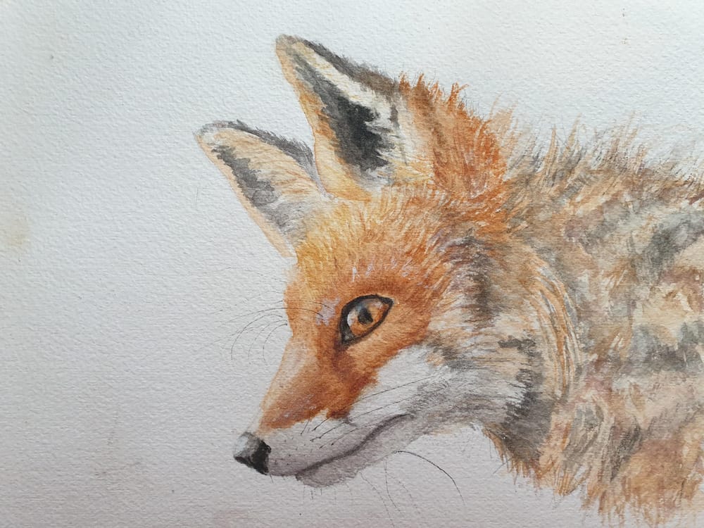 Animals - image 2 - student project