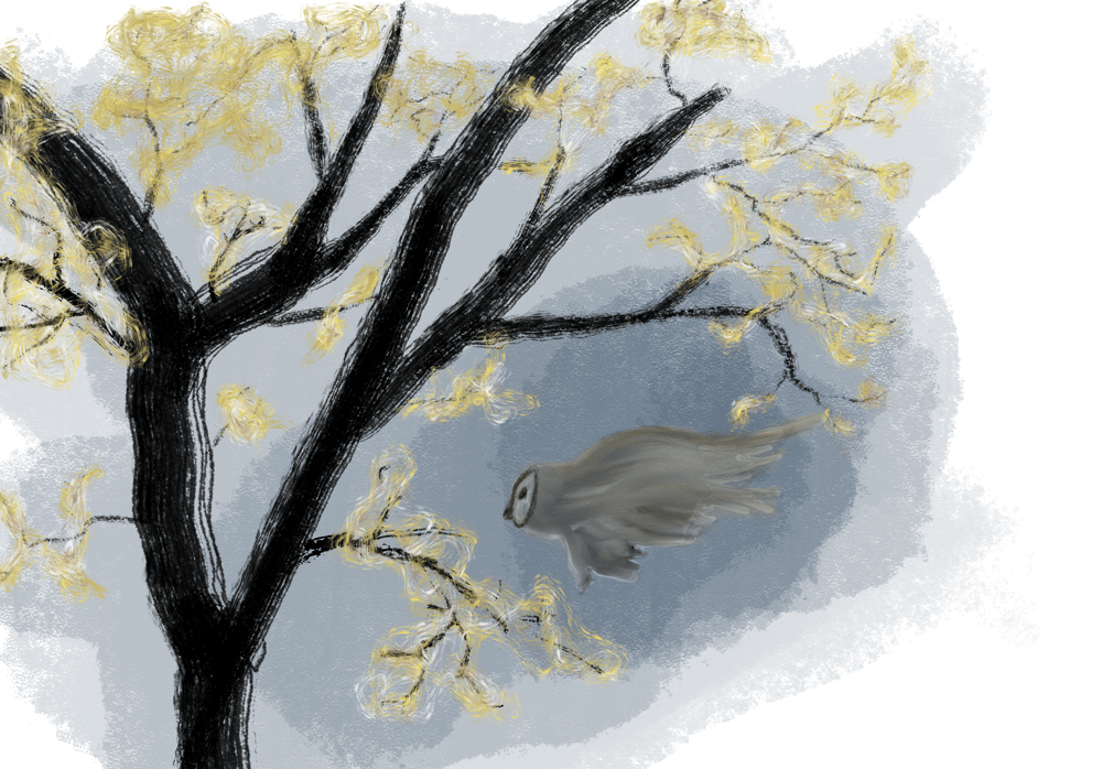 14 Day Challenge - image 2 - student project