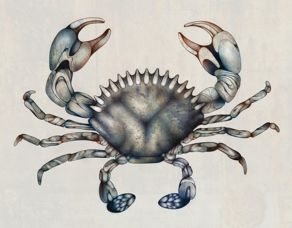 Crab - image 2 - student project