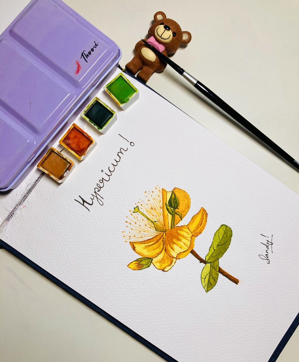 A - Z flowers - image 9 - student project