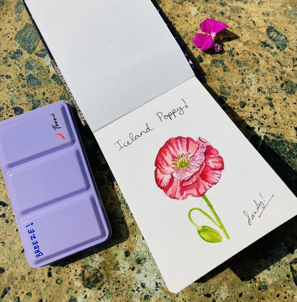 A - Z flowers - image 10 - student project