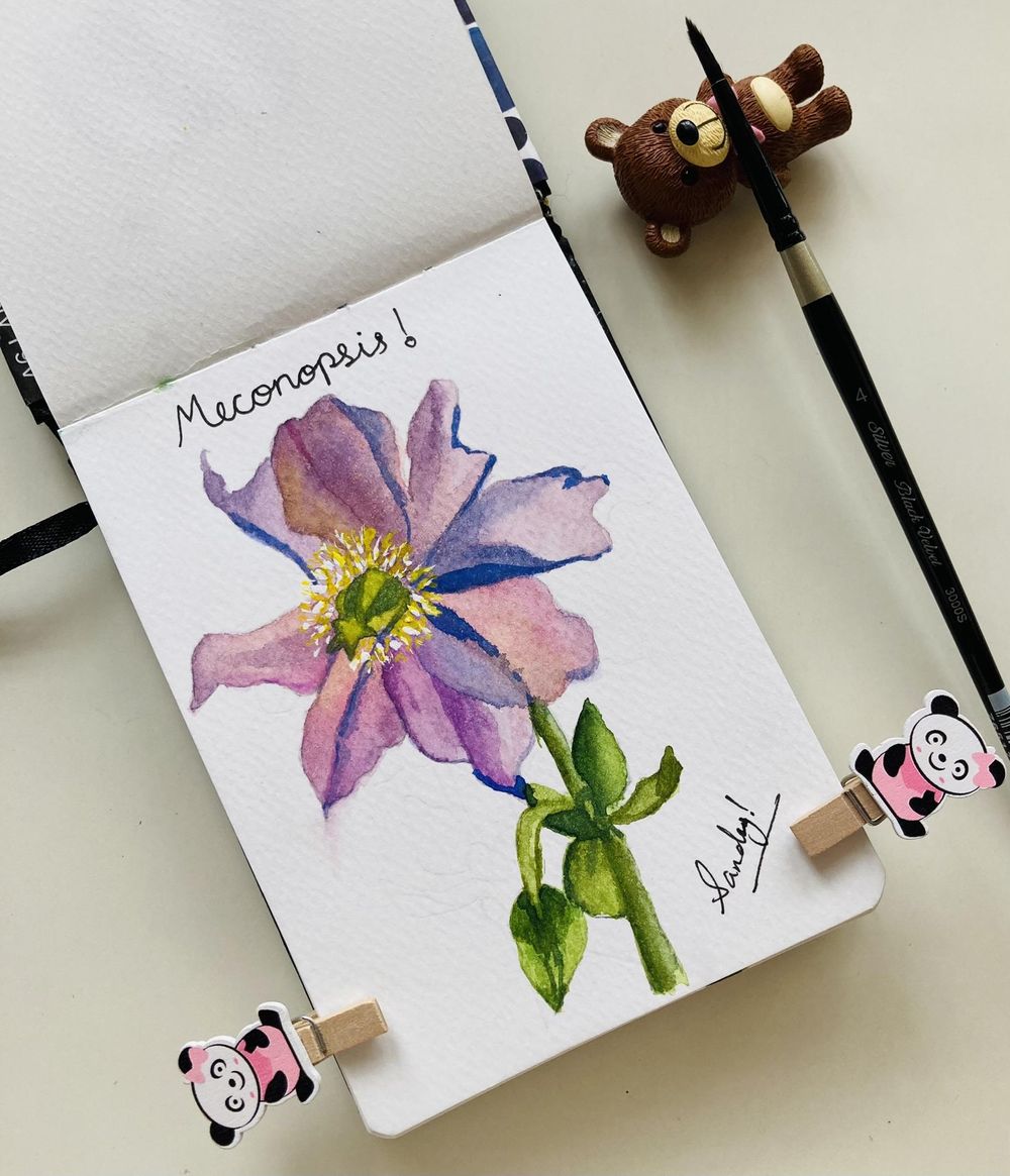 A - Z flowers - image 14 - student project