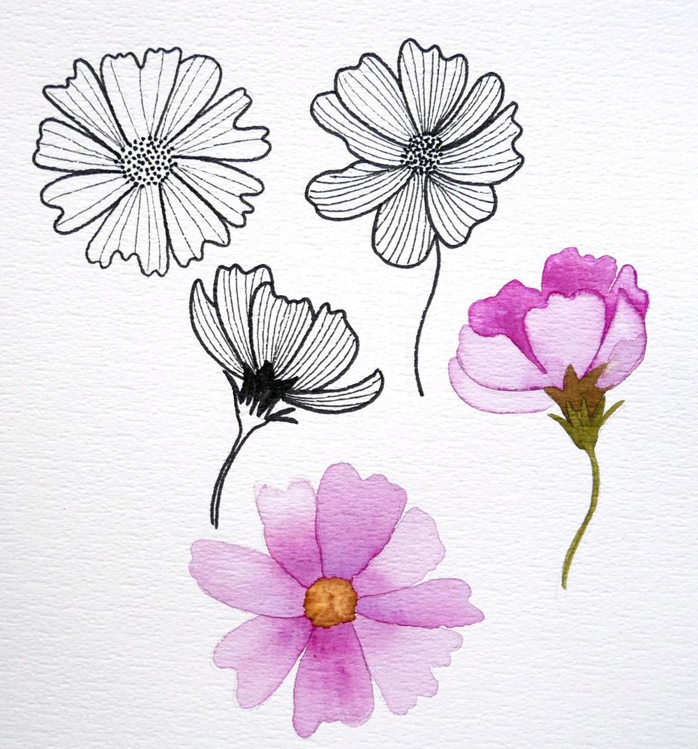 my first botanical sketchbook - image 5 - student project