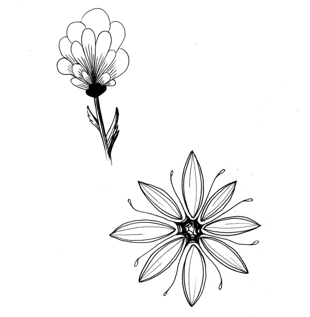 Flower Power Skillshare Student Project