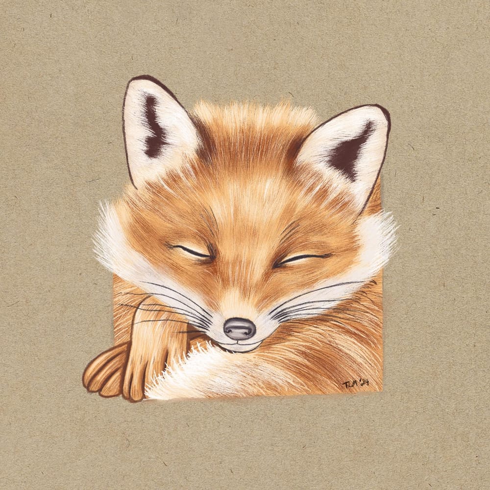 My sleeping fox - image 1 - student project