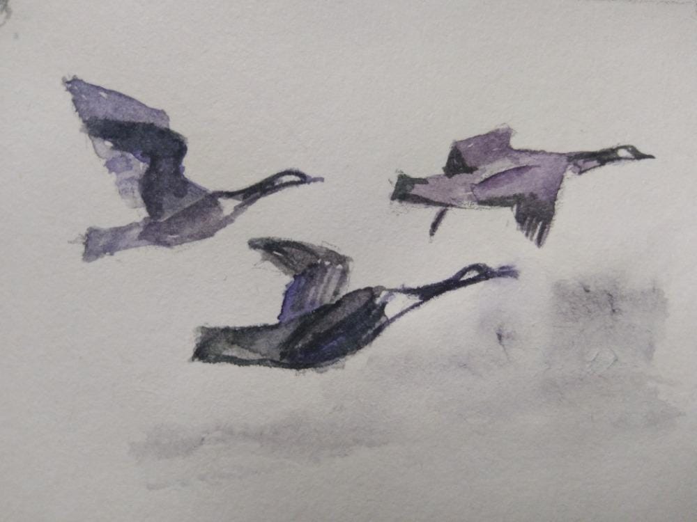 31denní výzva v malování akvarelem. Mám už všechny dny#TopWatercolorStudent2025 - image 10 - student project
