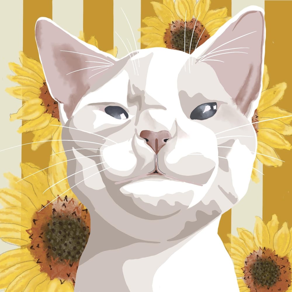 King Kitten - image 1 - student project