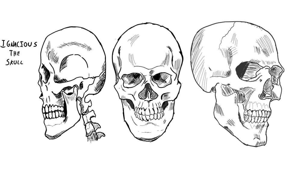 Heads, Heads, Heads...and Skulls! - image 1 - student project