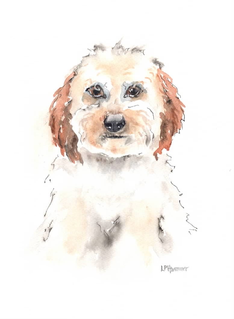 My friend's puppy - image 1 - student project