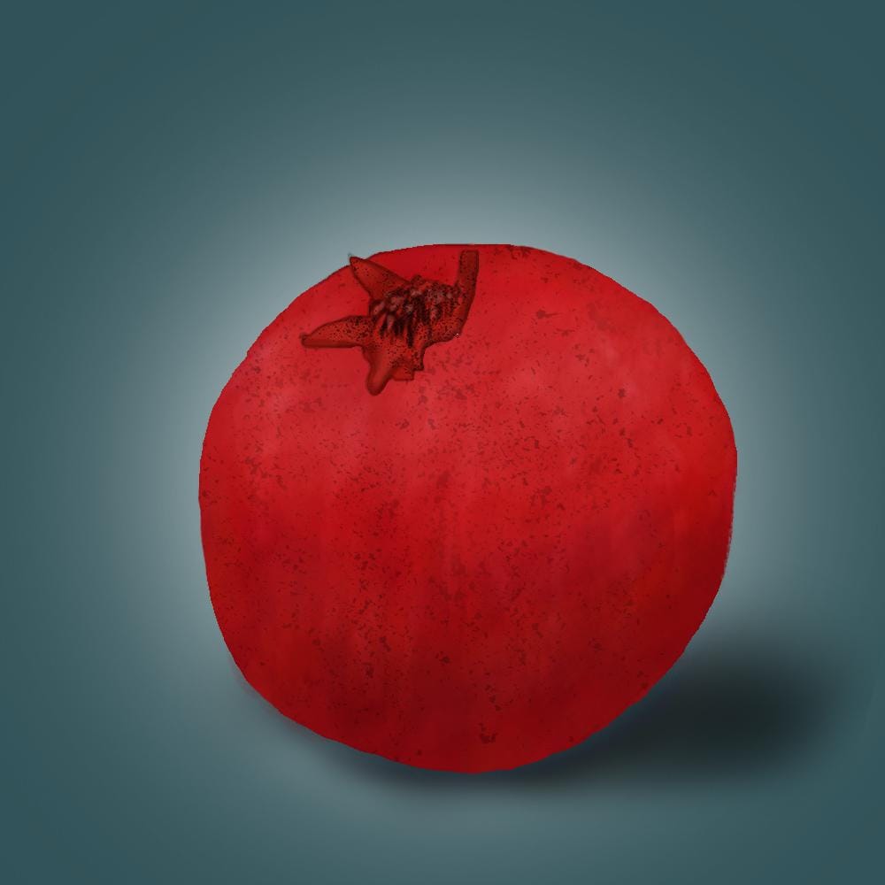 Pomegranate illustration - image 4 - student project