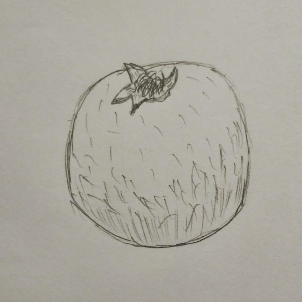 Pomegranate illustration - image 2 - student project