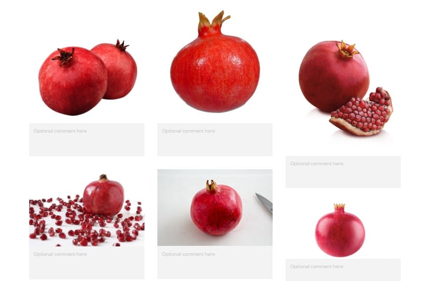 Pomegranate illustration - image 1 - student project