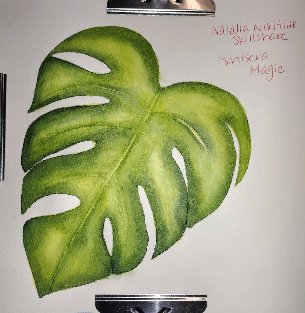 Monstera Magic - image 1 - student project