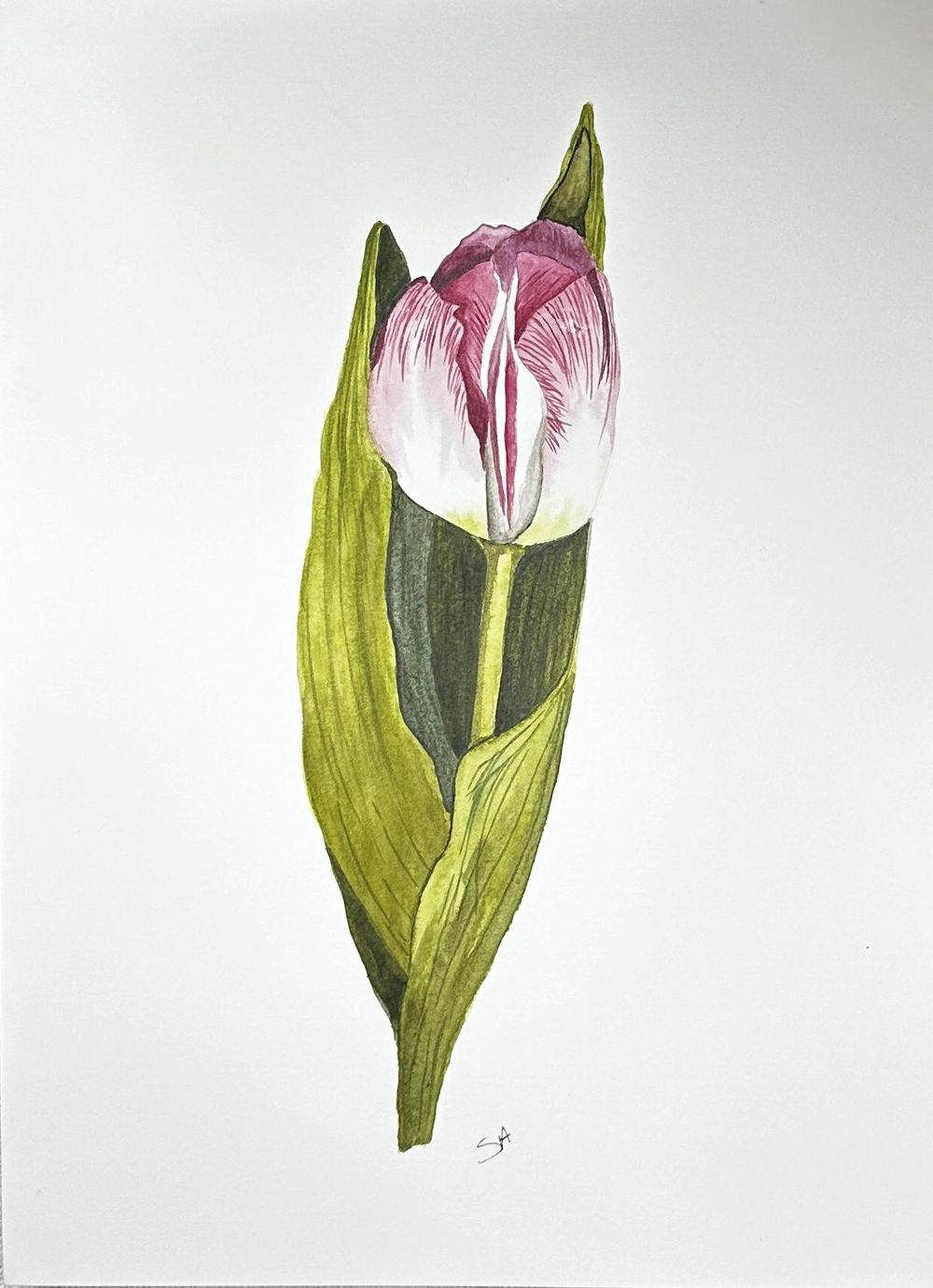 Tulip - image 1 - student project