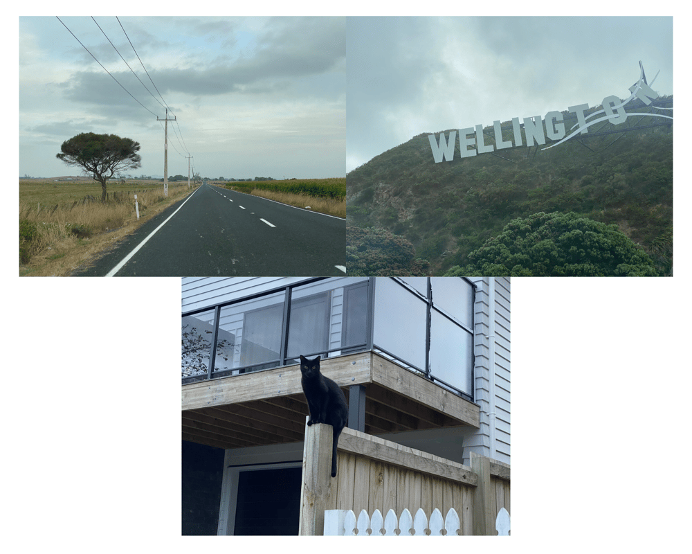 Hamilton and Wellington, New Zealand - image 1 - student project