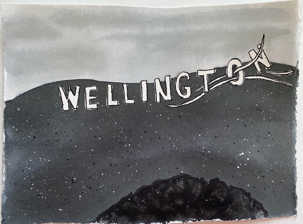 Hamilton and Wellington, New Zealand - image 3 - student project