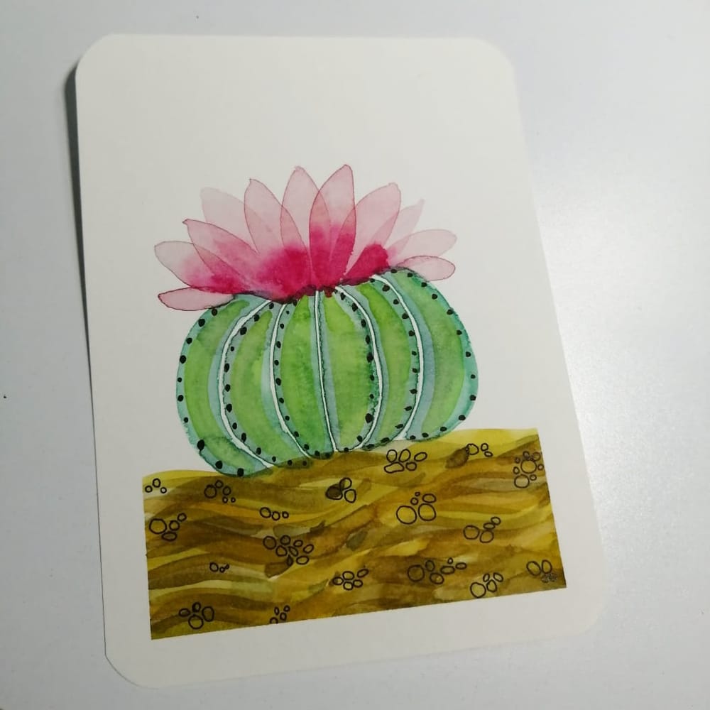 Cactus - image 2 - student project