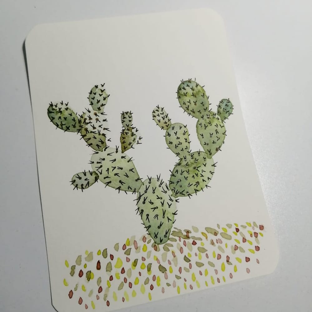 Cactus - image 3 - student project