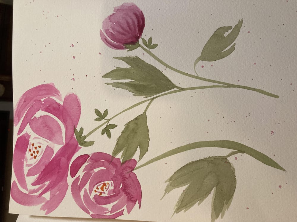 Peonies - image 1 - student project