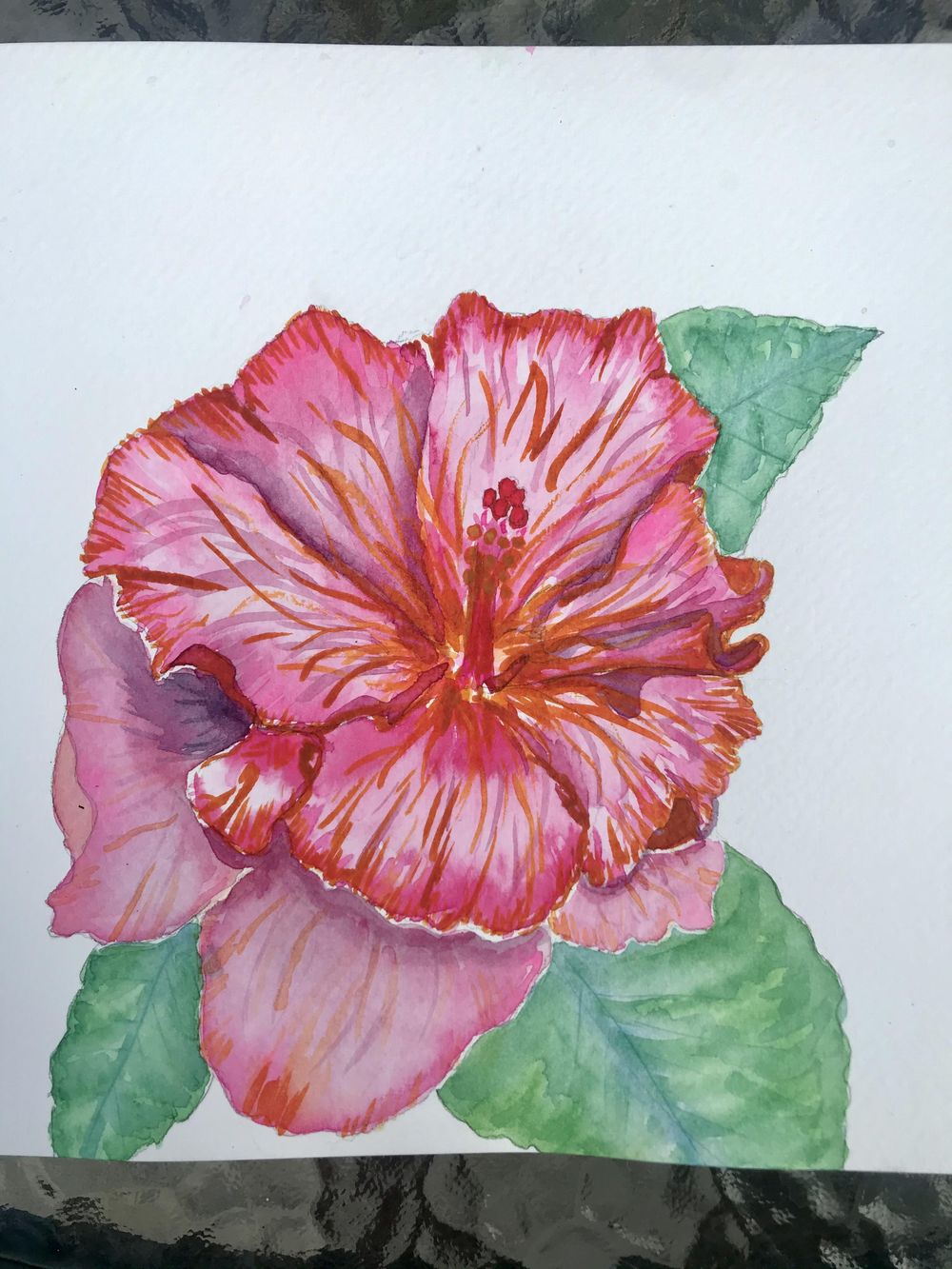 Ink and watercolour hibiscus - image 1 - student project