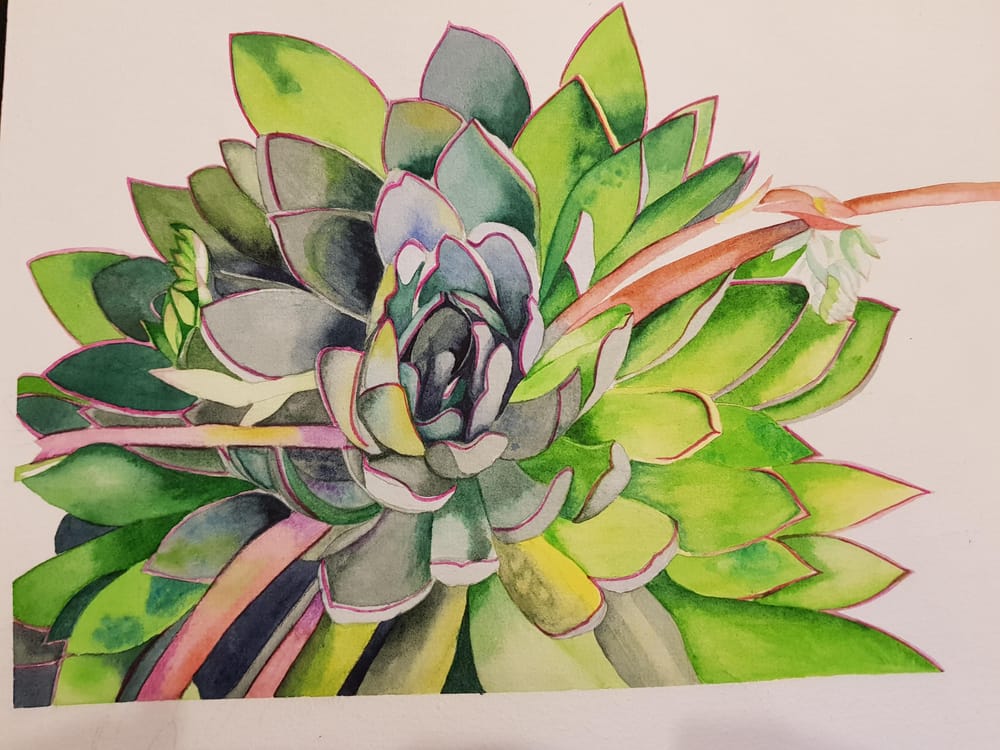 Succulent - image 2 - student project