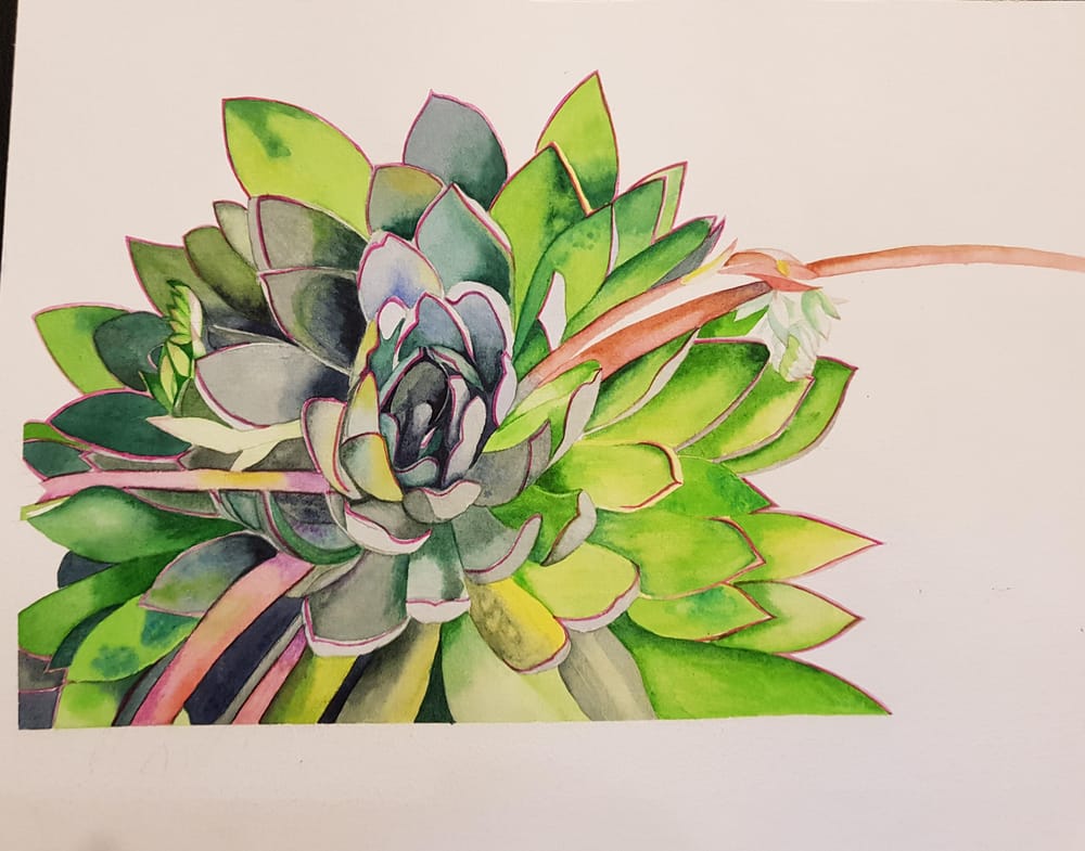 Succulent - image 1 - student project