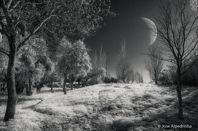 Moon - image 2 - student project