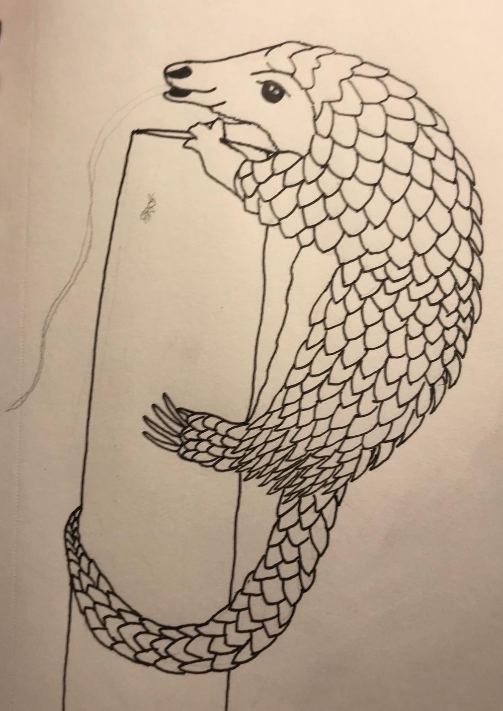 Hungry Pangolin - image 2 - student project