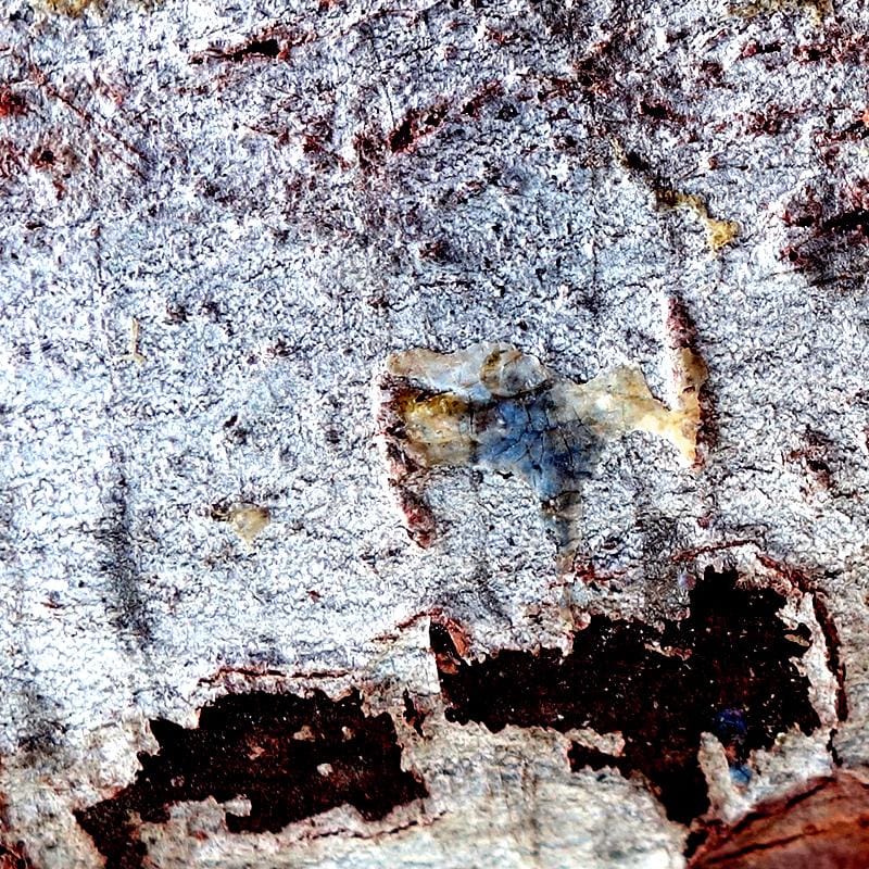 Abstract Photography - image 1 - student project