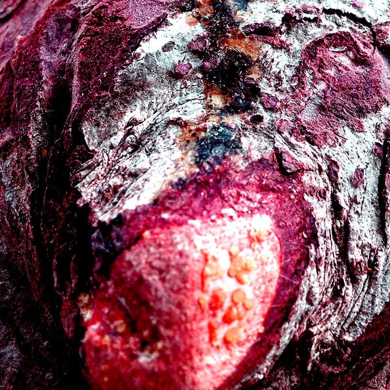 Abstract Photography - image 2 - student project