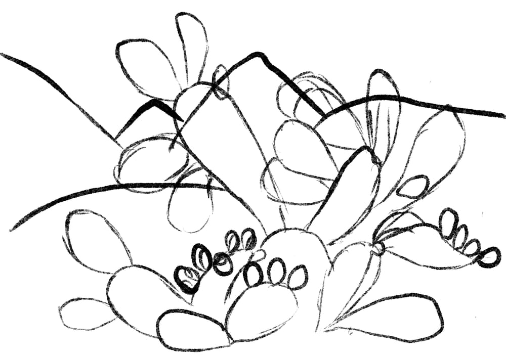 My Lonely Cactus Garden: feedback appreciated - image 4 - student project