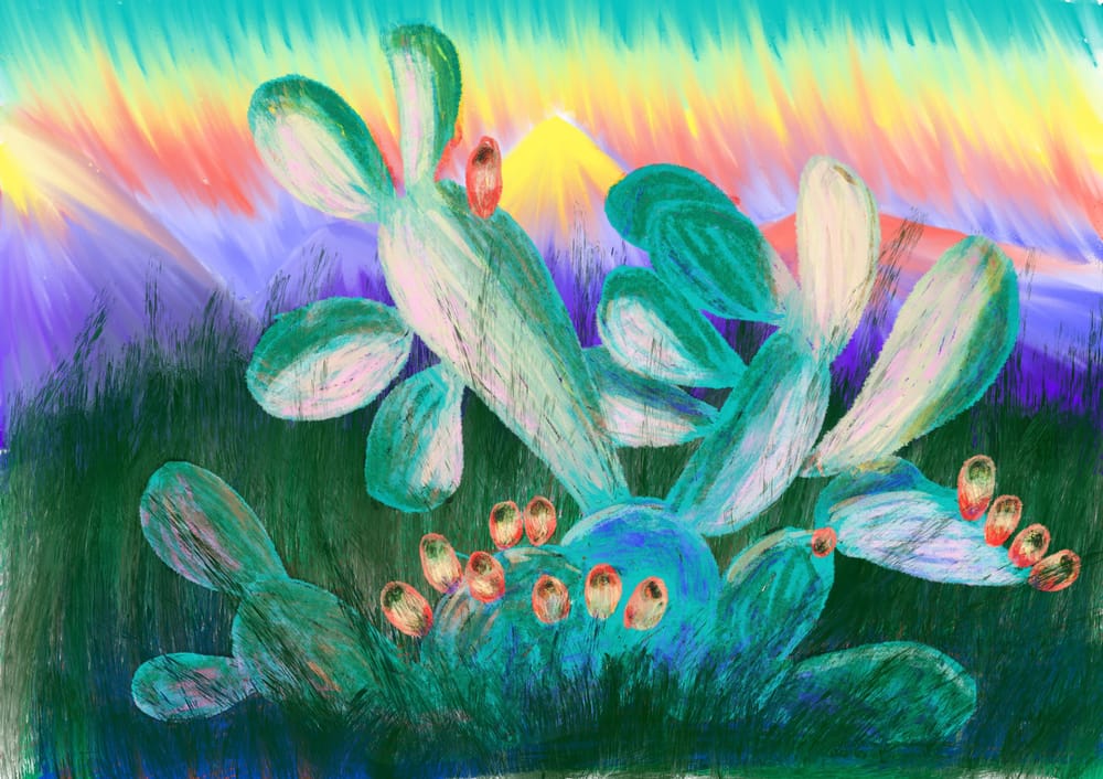 My Lonely Cactus Garden: feedback appreciated - image 1 - student project