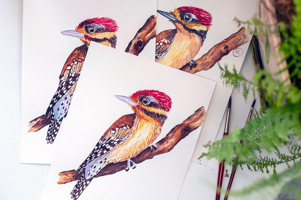 Little woodpecker - image 1 - student project