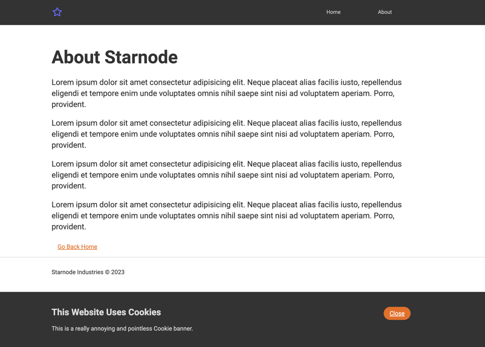 Starnode Site (learning project) - image 3 - student project