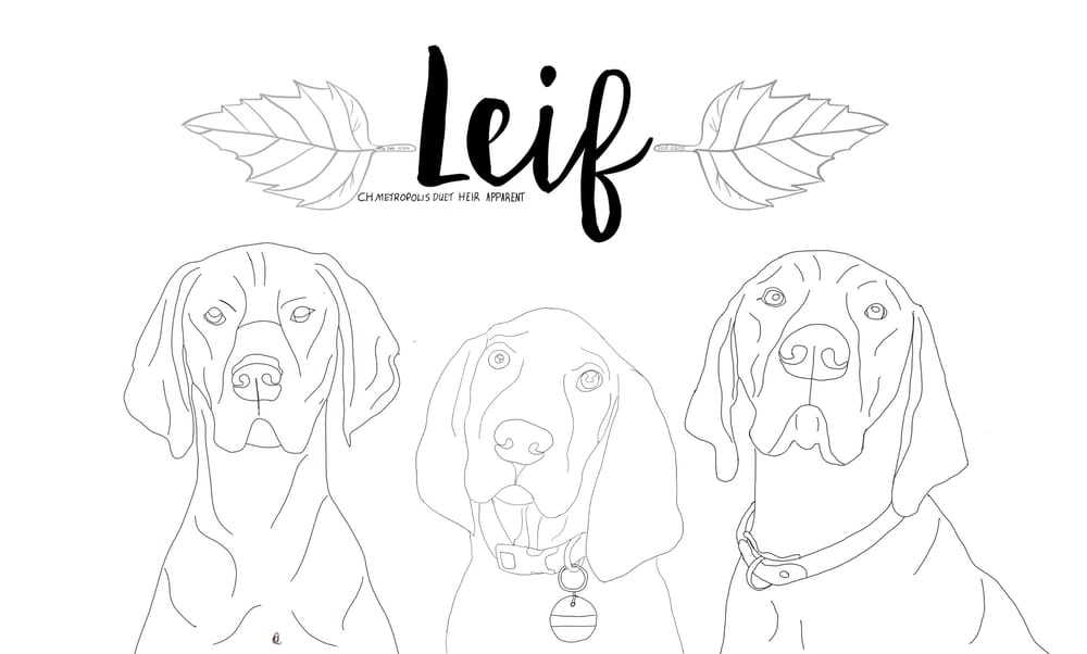leif ~ one line drawing - image 1 - student project