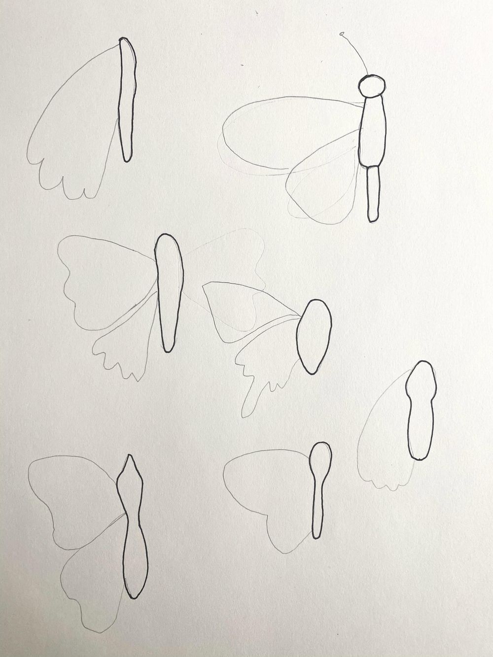 Butterflies and Moths by Maribel - image 3 - student project