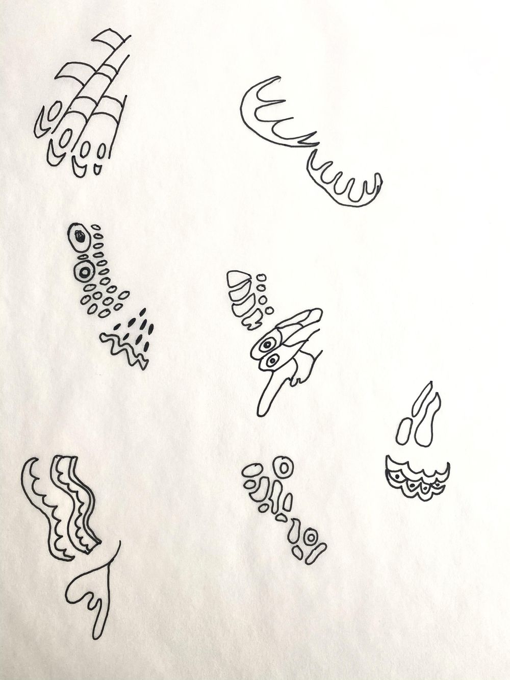 Butterflies and Moths by Maribel - image 5 - student project