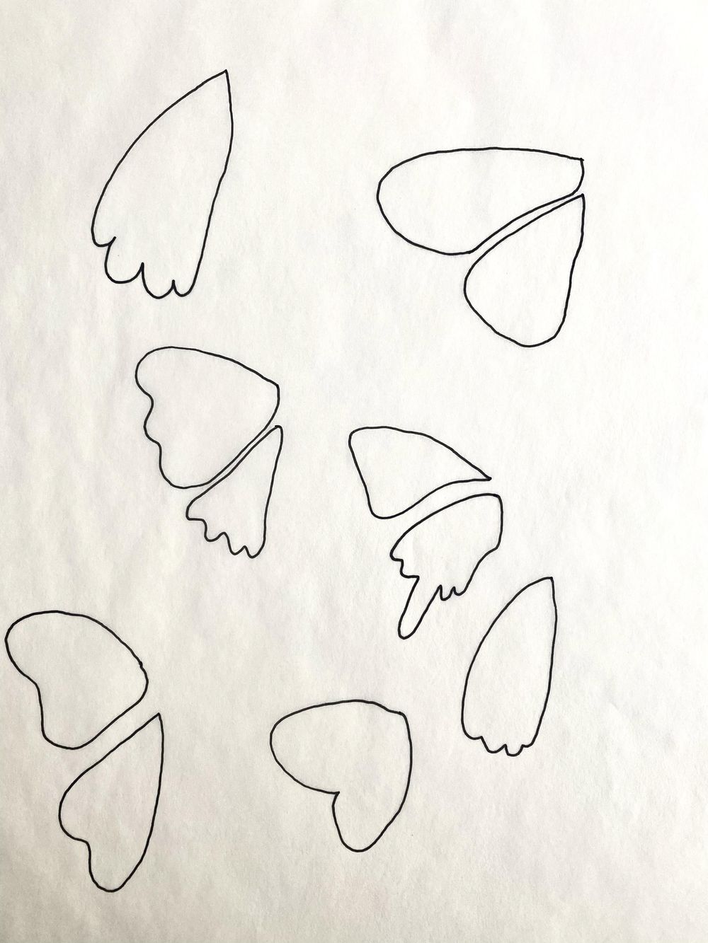Butterflies and Moths by Maribel - image 4 - student project